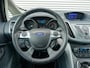 Ford Grand C-Max 1.6 SCTi Titanium 7-prs I NL-Auto I 100% dealer I 2e eig. I Clima I Cruise I