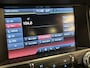Ford Mustang Fastback 5.0i V8 50 Years Edition 441PK Automaat