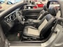 Ford Mustang Convertible 4.6i V8 GT 335PK Roush Limited Nr. 05-2218