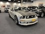 Ford Mustang Convertible 4.6i V8 GT 335PK Roush Limited Nr. 05-2218