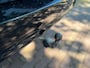 BMW X5 XDrive40e High Executive Aut. | M-Pakket | Panorama | Harman-Kardon | Dodehoek | Adaptief | Trekhaak | Historie | NL. Auto