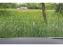 Volkswagen Golf 1.5 eHybrid 272pk GTE Black Style Pano/IQ.Light/360/Head-up/Dodehoek/18"