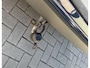 Volvo XC60 2.4D AWD Summum