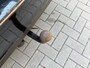 Volvo V70 1.6 T4 Nordic+