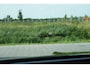 Mercedes-Benz GLE 350 e 4MATIC Premium 333pk Navigatie/360Camera/HUD