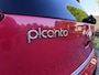 Kia Picanto 1.0 CVVT Design Edition | Carplay | Leer | Uniek!!