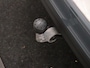 Volvo V60 B3 AUT(7) ESSENTIAL EDITION LEDER ACC BLIS STOELVERWARMING GOOGLE MAPS