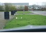 Mercedes-Benz C-klasse Estate 300e AMG Line Limited|Pano|HUD|360º|Digital Light|Sfeer