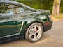 Ford Mustang GT BULLITT / DARK HIGHLAND GREEN / 29.000 MLS / PERFECT