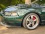 Ford Mustang GT BULLITT / DARK HIGHLAND GREEN / 29.000 MLS / PERFECT