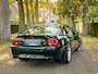Ford Mustang GT BULLITT / DARK HIGHLAND GREEN / 29.000 MLS / PERFECT