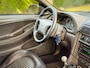 Ford Mustang GT BULLITT / DARK HIGHLAND GREEN / 29.000 MLS / PERFECT