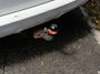 Toyota RAV4 2.0 VVTi Executive Business - AUTOMAAT - ZWART LEDER - XENON - STOEL VERW !