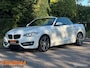 BMW 2-Serie Cabrio 220i Sport Executive