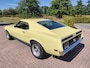 Ford Mustang MACH 1 TREMEC 5 SPEED CLEVELAND