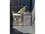 SEAT Altea XL 1.8 TFSI Businessline High Navi PDC cruise
