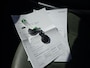 MINI Cooper S 3-Deurs 1.6 10 Years II | 2E EIGENAAR | 3/6 OF 12MND GARANTIE | PANO | CARPLAY | LMV |