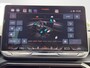 CUPRA Formentor 1.5 TSI e-Hybrid Business | 204Pk | A.camera | Elec. klep | Winterpakket |