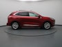 Ford Kuga 225pk PHEV Vignale Apple Carplay/Android Auto | Climate