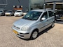Fiat Panda 1.2 Edizione Cool