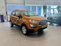 Ford EcoSport 1.0 EcoBoost Trend Ultimate PARKEER SNESOREN ACHTER | CRUISE CONTROL | DEALER ONDERHOUDEN |