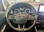 Ford EcoSport 1.0 EcoBoost Trend Ultimate PARKEER SNESOREN ACHTER | CRUISE CONTROL | DEALER ONDERHOUDEN |