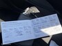 Nissan Pixo 1.0 Acenta - Airco - Elekpakket - Nap -