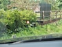 Audi E-tron e-tron 55 quattro 95 kWh | Panoramadak | 360 Camera | Apple Carplay | Bang & Olufsen | Head-Up Display | Trekhaak |