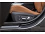 BMW 3-Serie 320e M-Sport Dravitgrau / Schaal stoel / HiFi / Camera /