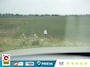 Mazda CX-60 2.5 e-SkyActiv PHEV Homura AWD | Comfort Pack | BOSE | HUD| Pano | 360° | Trekhaak