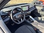 CUPRA Terramar 1.5 TSIe 150PK DSG BUSINESS HEAD-UP/NAVI/CAMERA/LEDER/MATRIX