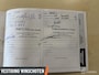Fiat 500 1.0 TwinAir Pop Cabrio! | Airco | LM Velgen | PDC Achter |