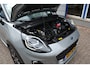 Ford Puma 1.0T 125pk ECOBOOST Hybrid Titanium | div. extra's