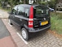 Fiat Panda 1.2 Active
