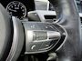 BMW X2 sDrive20i High Executive | Leer | HUD | Panoramadak