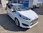 Ford Fiesta 1.0 EcoBoost Hot Hatch 99157 km