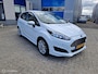 Ford Fiesta 1.0 EcoBoost Hot Hatch 99157 km