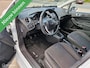 Ford Fiesta 1.0 EcoBoost Hot Hatch 99157 km