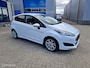 Ford Fiesta 1.0 EcoBoost Hot Hatch 99157 km
