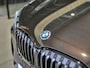 BMW X1 xDrive25e Executive Sportline | Sparkling Brown | Camera | HUD | Stoelverwarming