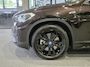 BMW X1 xDrive25e Executive Sportline | Sparkling Brown | Camera | HUD | Stoelverwarming