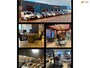 Toyota Urban Cruiser 1.3 VVT-i Dynamic | NAP | ACHTERUITRIJCA. | APK | AIRCO | NAVI