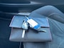 DS 3 1.6 BlueHDi Business | Trekhaak | Apple Carplay | Achterruitrij Camera | Navi | Cruise