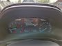 Ford Puma 1.0i Ecoboost Hybrid 125pk Titanium Winterpack
