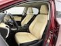 Lexus NX 300h AWD Luxury Line Limited | Schuif - / kanteldak | Fietsendragerbeugel |