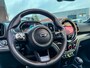 MINI Countryman Cooper S E ALL4 John Cooper Works 220pk/Lounge leer/Hk/Camera/Btw/Vol