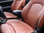 MINI Cooper S Cabrio 2.0 Chili Serious Business AUT | LEER | CAMERA | HARMAN KARDON