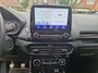 Ford EcoSport 1.0 EcoBoost 125pk ST-Line Camera, Winterpack
