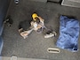 Opel Meriva 1.6-16V Temptation AIRCO ELEKPAKKET TREKHAAK