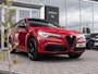 Alfa Romeo Stelvio 2.0 T AWD Estrema | Pano | Quadrifoglio Carbon interieur + Exterieur | 21"velgen | Elektrische stoelen + Memory |